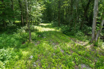 3 State Street, North Vernon - 16