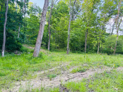 0 Laurel Road, Laurel - 4