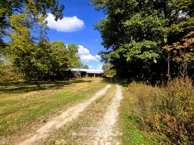 11182 County Road 280, Westport - 38