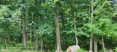 11182 County Road 280, Westport - 12