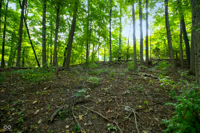 13562 Creekridge Lane, Fishers - 18