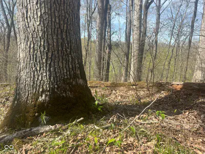 4100 Block of Lower Schooner Road, Nashville - 7