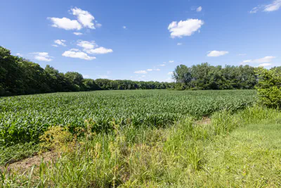 0 E State Road 44, Franklin - 41