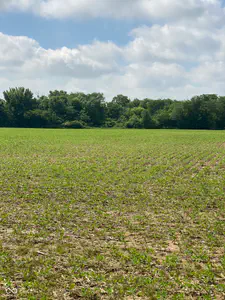 TBD State Road 236, North Salem - 3