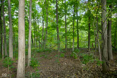 13562 Creekridge Lane, Fishers - 8