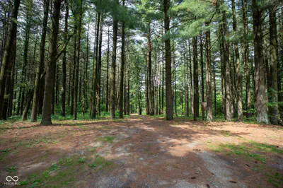 12368 Upas Road, Plymouth - 67