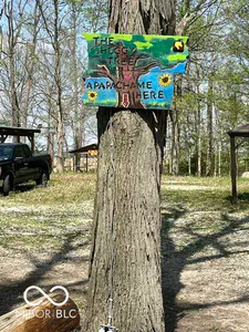 7642 County Road 350, Shirley - 55