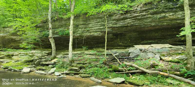 11182 County Road 280, Westport - 6