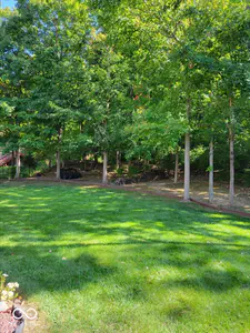 11691 Diamond Pointe Court, Indianapolis - 58