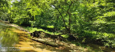 11182 County Road 280, Westport - 33