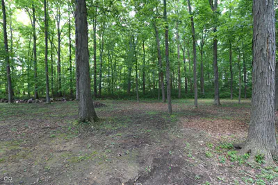 3020 Offield Monument Road, Crawfordsville - 40