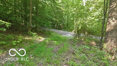 7746 Tunnel Road, Unionville - 7