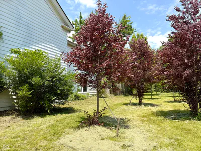 4026 141st Street, Carmel - 74