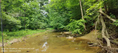 11182 County Road 280, Westport - 31