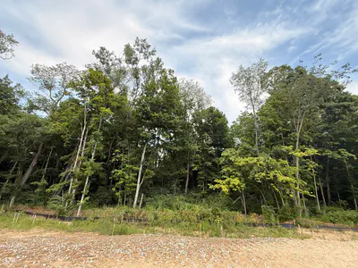 9894 Cassia Drive, Carmel - 21