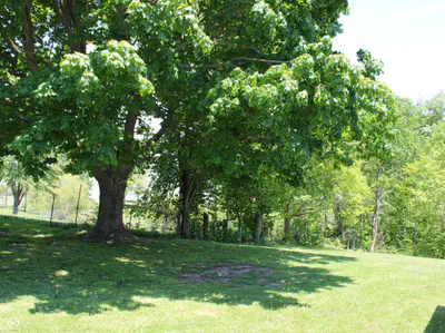 13517 County Road 275, Roachdale - 58