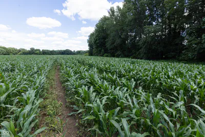 0 E State Road 44, Franklin - 20