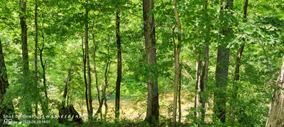11182 County Road 280, Westport - 8