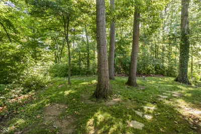 8641 Fawn Lake Circle, Indianapolis - 96