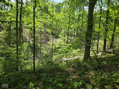 0 Blue Barn Road, Bloomfield - 32