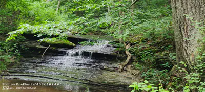 11182 County Road 280, Westport - 21