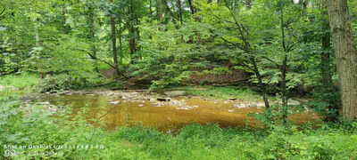 11182 County Road 280, Westport - 30