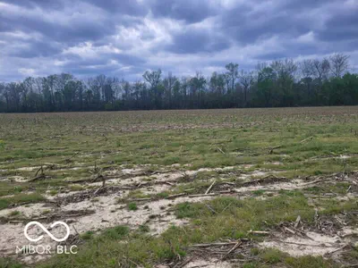 8000 Co. Rd. 300 Road, Seymour - 3