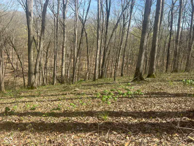 4100 Block of Lower Schooner Road, Nashville - 14