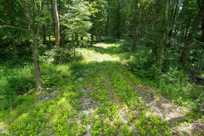 3 State Street, North Vernon - 31