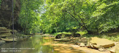 11182 County Road 280, Westport - 3