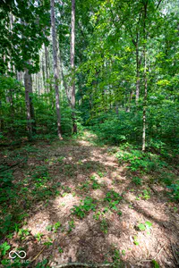 12368 Upas Road, Plymouth - 71