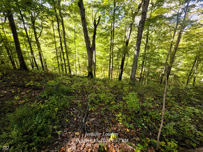 11182 County Road 280, Westport - 42