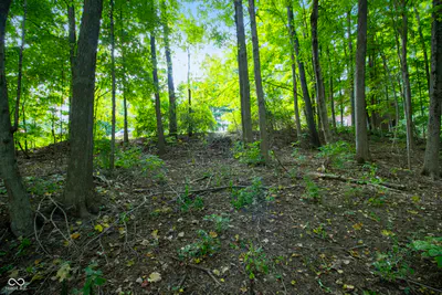 13562 Creekridge Lane, Fishers - 20