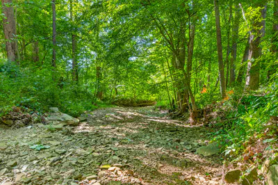 0 Elkinsville Road, Nashville - 4