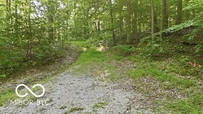 7746 Tunnel Road, Unionville - 11