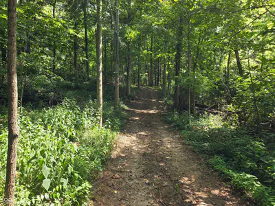 3188 Frontage Road, Greensburg - 38