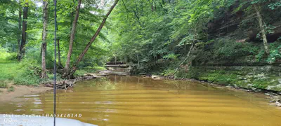 11182 County Road 280, Westport - 23