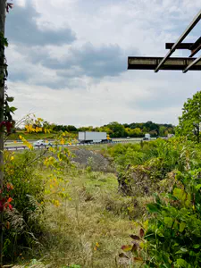 28527 Coonhunters Lane, West Harrison - 4