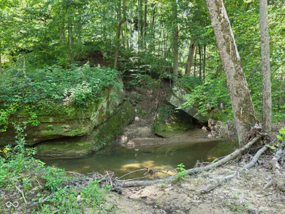 0 Blue Barn Road, Bloomfield - 61
