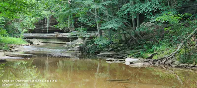 11182 County Road 280, Westport - 2