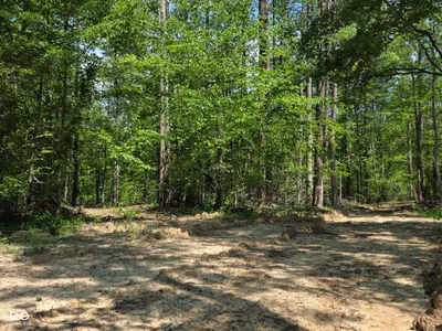 0 Blue Barn Road, Bloomfield - 35