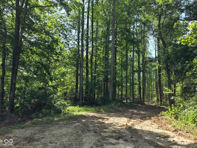 0 Blue Barn Road, Bloomfield - 40