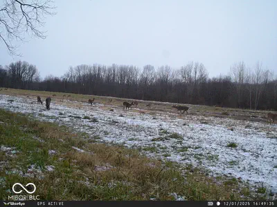 0 575, Markleville - 26