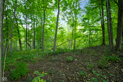 13562 Creekridge Lane, Fishers - 13