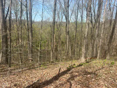 4100 Block of Lower Schooner Road, Nashville - 13