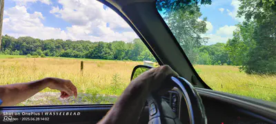 11182 County Road 280, Westport - 9