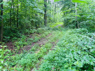 0 Laurel Road, Laurel - 9