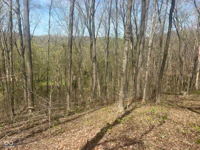4100 Block of Lower Schooner Road, Nashville - 12