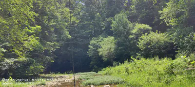 11182 County Road 280, Westport - 28
