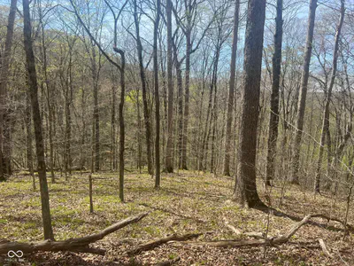 4100 Block of Lower Schooner Road, Nashville - 8